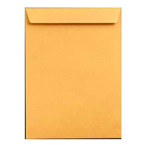 Temrex  X-Ray Envelopes 500/Box (950-0849224)