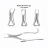 USA Delta Extraction Forceps Ea (EFLMUSAD)