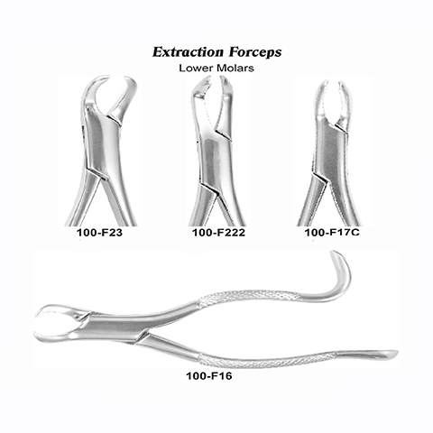USA Delta Extraction Forceps Ea (EFLMUSAD)