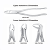 USA Delta Upper & Lower Anteriors & Premolars Dental Instruments