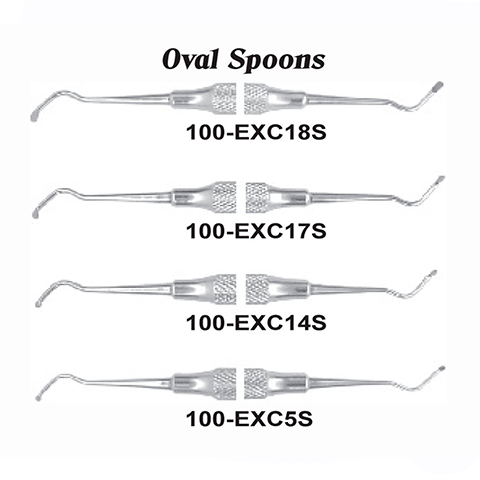 USA Delta Oval Spoons Dental Instruments